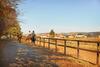 Hotel Midlands Saddle And Trout