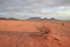 The Bedouin Meditation Camp