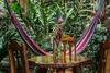 Omega Tours Eco-jungle Lodge