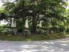 Bed & Breakfast Domaine De La Vivari�