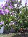 Apartamento Valley Creek Hotel