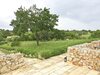 Agroturismo Podere Papilio