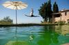 Agroturismo Il Paluffo