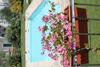 Agroturismo Le Casine