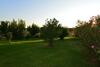 Hostal Agriturismo Podere Micitto