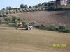 Hostal Agriturismo Il Vecchio Carro