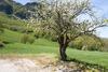 Agroturismo Agriturismo I Fondacci