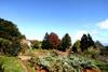 Agroturismo Quinta Das Faias