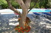Hotel Pietracap