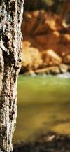 Albergue De Albarrac�n Rosa Br�os