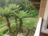 Hostal Pousada Komkaf� - Zimmer Frei