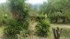 Hostal Posada Naturista Arco Iris