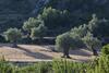 L�hermitage Hotel & Spa