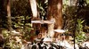 Bed & Breakfast Hotel La Semilla - Adults Only