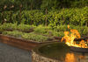 Hotel Rosewood Mayakoba