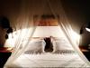 Bed & Breakfast Para Ti Guesthouse