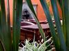 Hotel R�o Queretaro