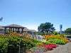 Surf Motel And Gardens