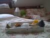 Hostal Penzion Rozmar�n