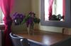 Apartm�ny Rud�k