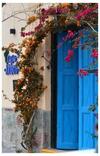 Hostel Casa Arbol