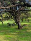 Agroturismo Caba�as San Miguel