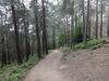 Hostal Landgasthof J�gerst�bchen