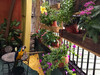 Panama House Bed & Breakfast