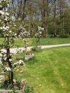 Apartamento Goldschmiedsm�hle