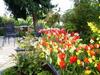 Hostal Hotel Ebnet Garni