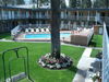 Motel Alpine Inn & Spa