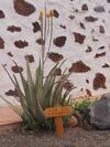 Agroturismo Casa Rural Soleario