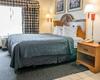Hotel Quality Inn Kalamazoo