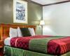 Motel Rodeway Inn Chico University Area
