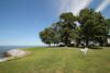 Bed & Breakfast Wades Point Inn On The Bay