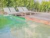 Douro Apartments - Garden View