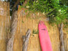Ericeira Chill Hill Hostel & Private Rooms