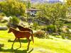 Agroturismo Quinta Do Marvao