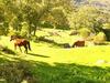 Agroturismo Quinta Do Marvao