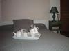 Apartamento Le Saint Andr�