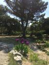 Bed & Breakfast New Cabanon