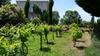 Bed & Breakfast La Ferme De Jeanne