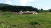 Bed & Breakfast La Ferme De Jeanne