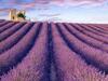 Bed & Breakfast La Bastide Des Templiers