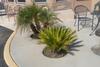 Yucca Motel