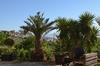 Bed & Breakfast Villa Della Mimosa