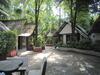 Hotel Pine Bungalow Krabi
