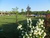 Riva's Club Hotel