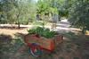 Apartamento Casale Santa Caterina