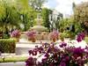 Hotel Elan Resort & Spa